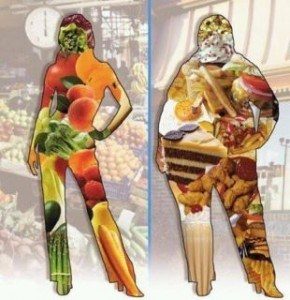 GMO Foods and Your Health
