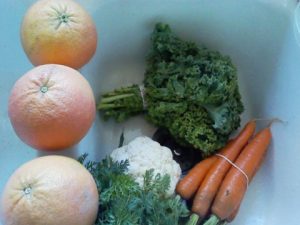 organic fruits and vegetables from farmers market in santa barbara, california