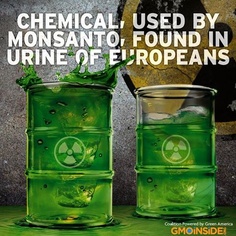 Chemicals in food we eat