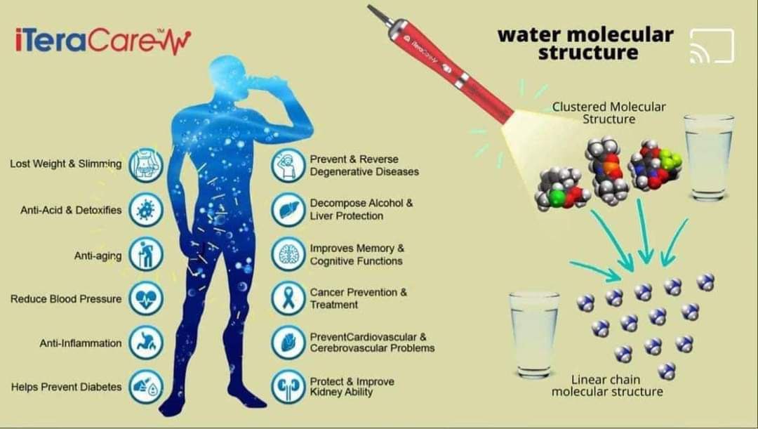 Importance of Purified Water