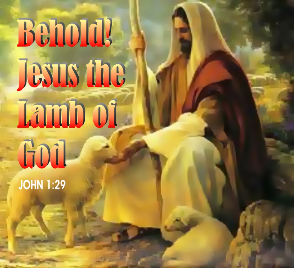 Jesus Lamb Of God