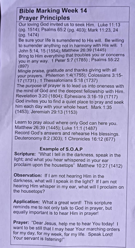 Prayer Principles Bible Marking