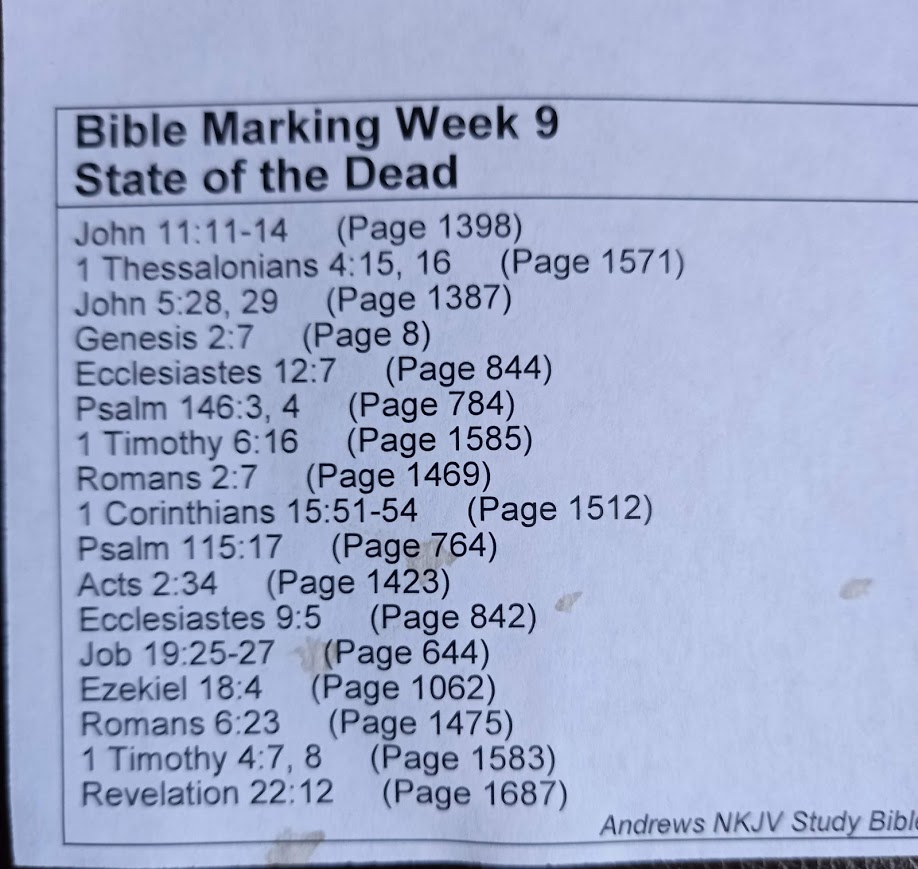 State of the Dead Bible Marking