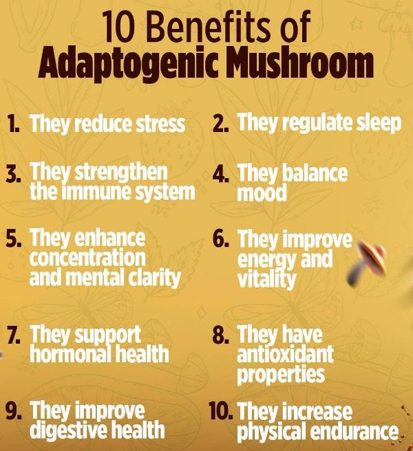 LatteKafe Meet the 10 Mushrooms Power